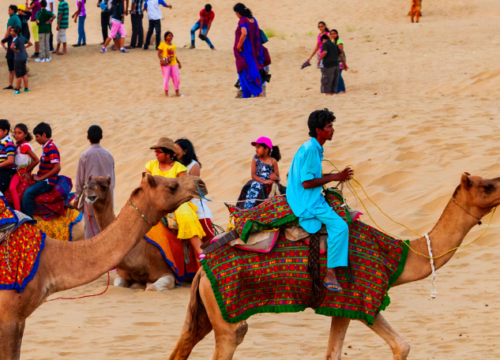 Camel Safari à Jaisalmer et Bikaner