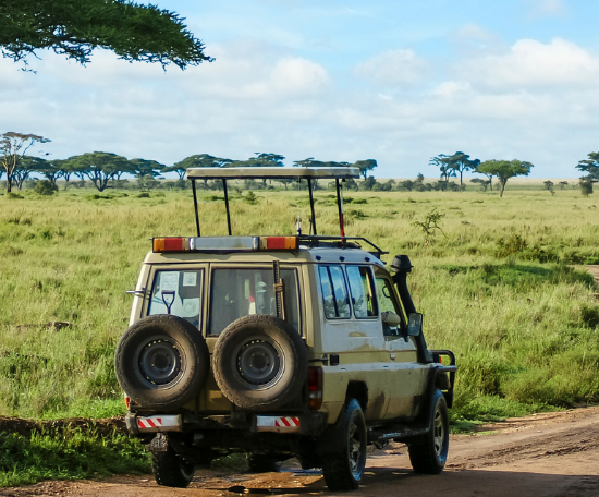 Park Safari en Inde