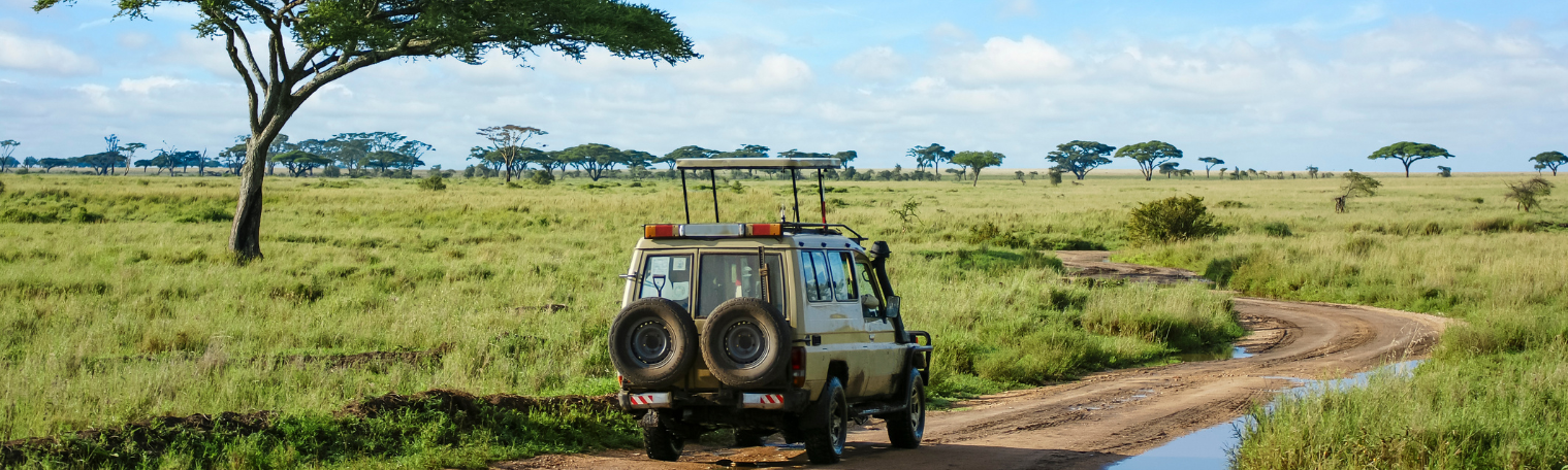 Park Safari en Inde