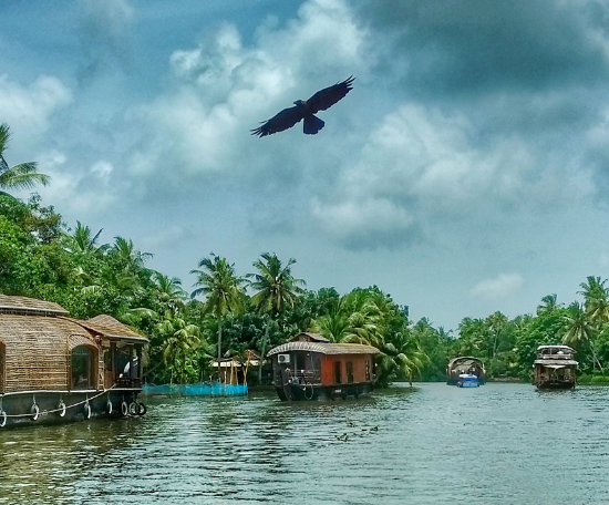 Les magnifiques backwaters du Kerala