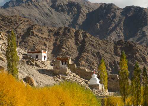 Guide du pratique au Ladakh