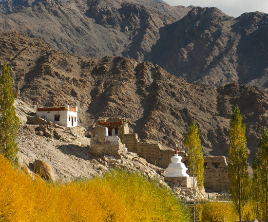 Guide du pratique au Ladakh