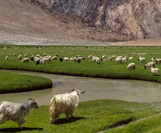 Que visiter au Ladakh ?