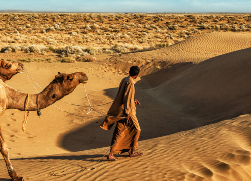 14 lieux à visiter au Rajasthan