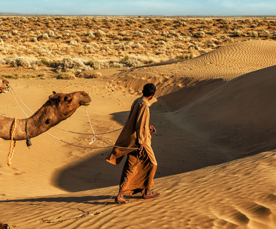 14 lieux à visiter au Rajasthan