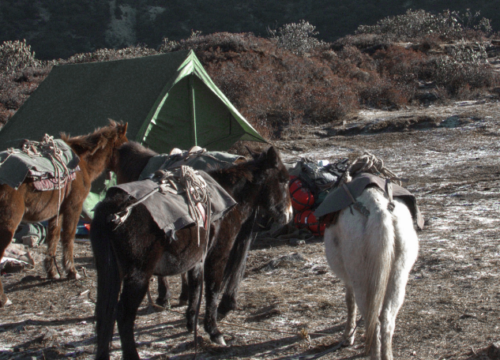 Trekking au Bhoutan