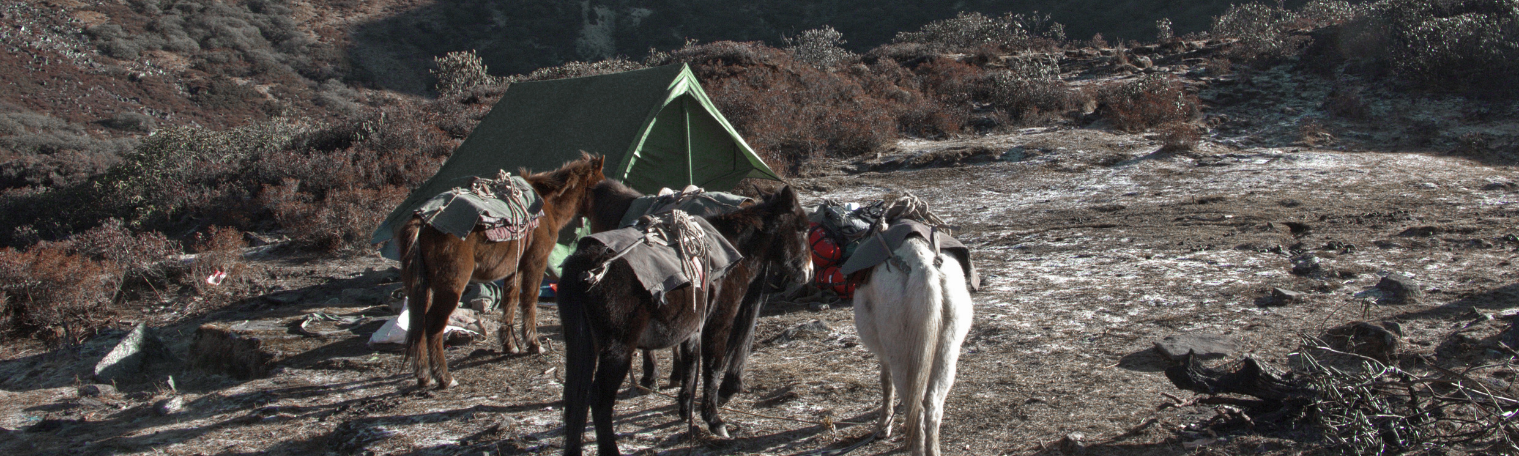 Trekking au Bhoutan