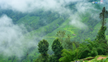 Darjeeling – Bengale occidental
