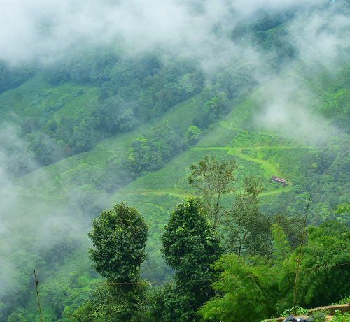 Darjeeling – Bengale occidental