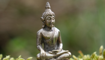 Découvrez Sur les traces de Bouddha-Népal-Inde
