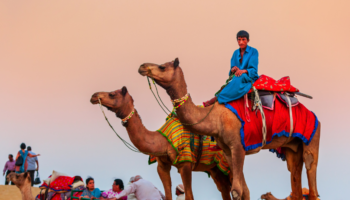 Désert de Jaisalmer Thar, Rajasthan