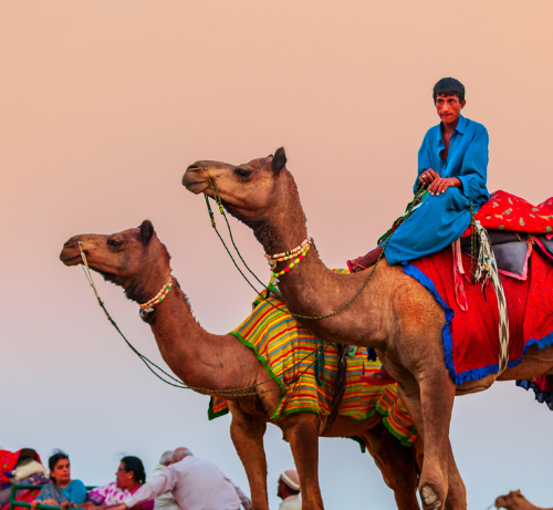 Désert de Jaisalmer Thar, Rajasthan