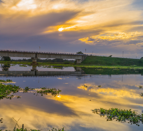 Île de Majuli – Assam