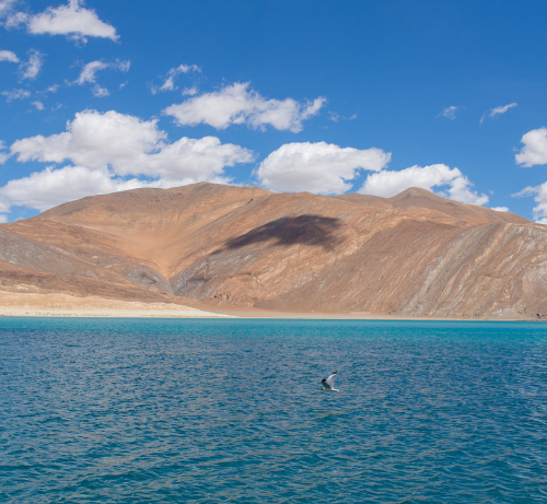 Lac Pangong – Ladakh