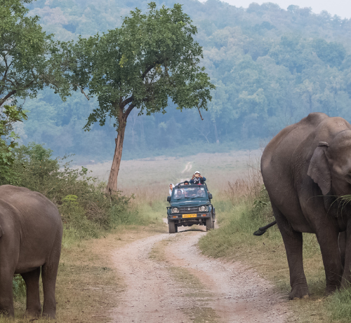 Le parc national Jim Corbett, Uttarakhand