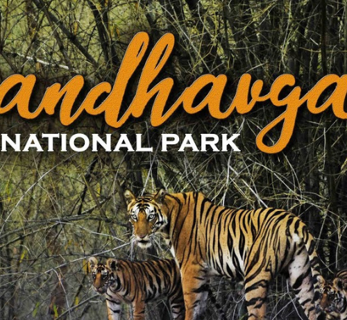 Parc national de Bandhavgarh
