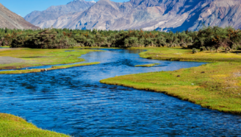 Vallée de Nubra, Ladakh