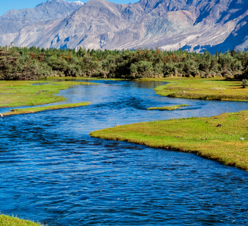 Vallée de Nubra, Ladakh