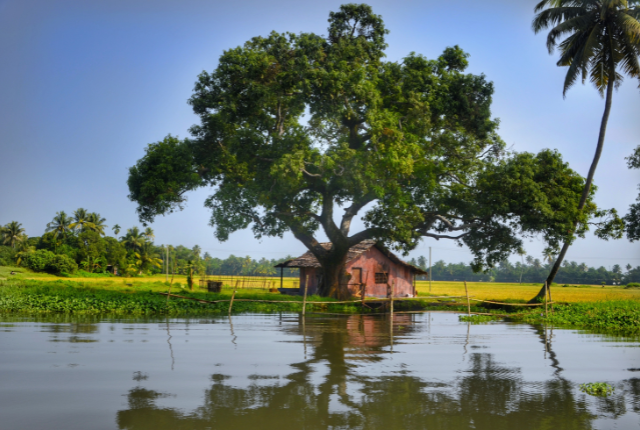 Alleppey