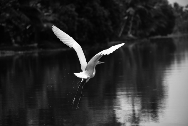 Kumarakom Kerla