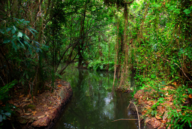 Kumarakom
