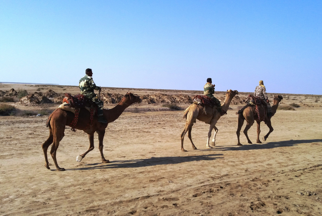 Le Rann de Kutch, Gujarat