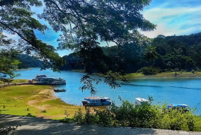 Thekkady (Periyar)