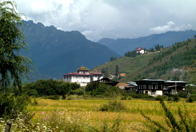 Paro
