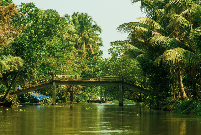 Profitez du charme serein des backwaters du Kerala