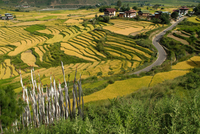 Punakha